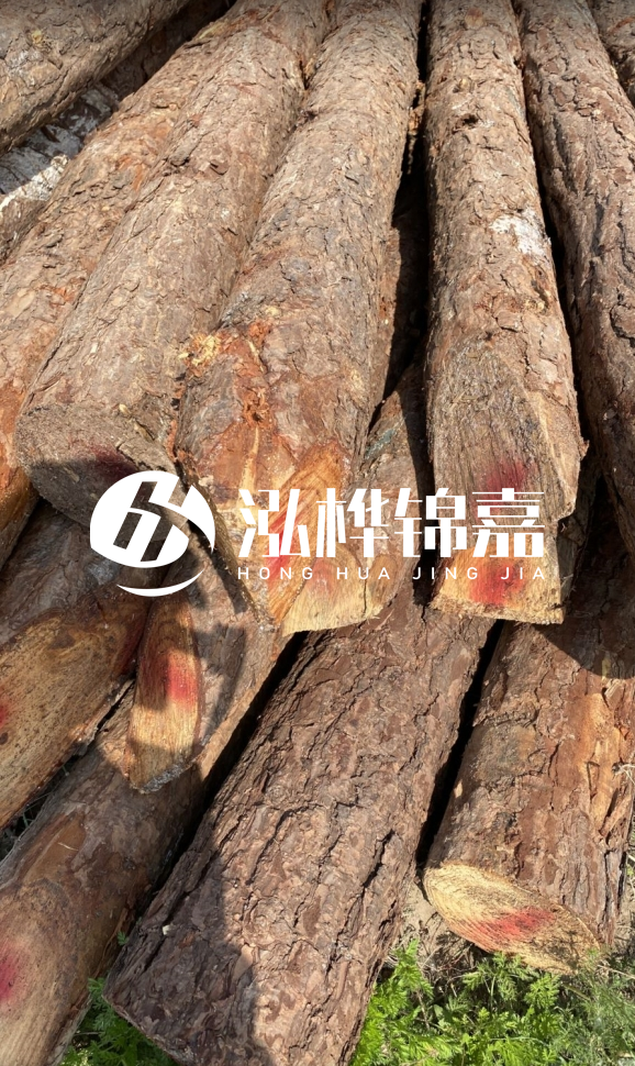 <strong>松木樁和杉木樁的用途區(qū)別？哪個更適合打樁用？</strong>