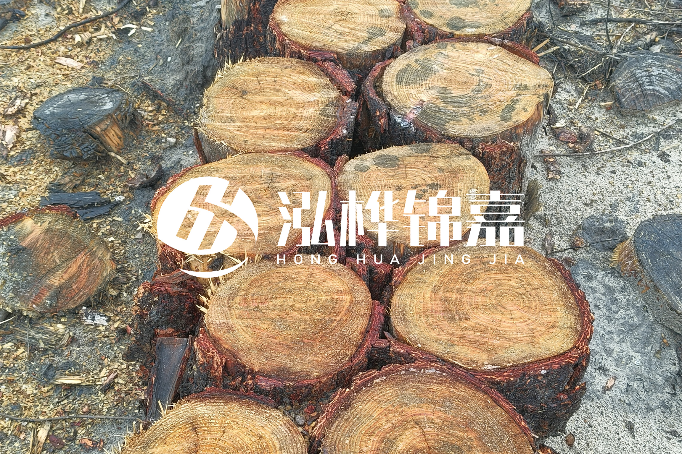 浙江臺州有清淤的公司嗎？浙江臺州有清淤施工隊嗎？