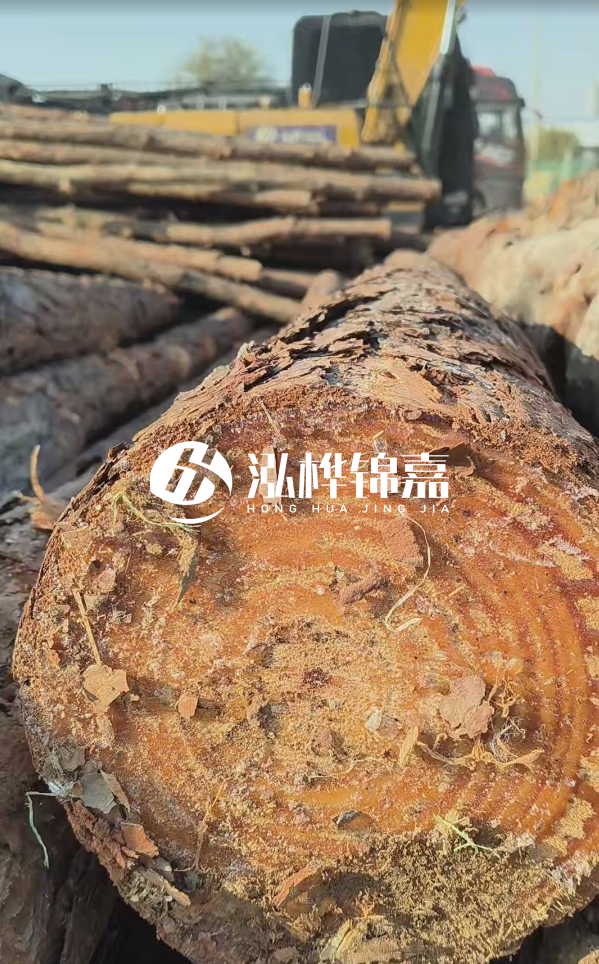 杉木樁價(jià)格多少錢一方-3米直徑14公分杉木樁價(jià)格？