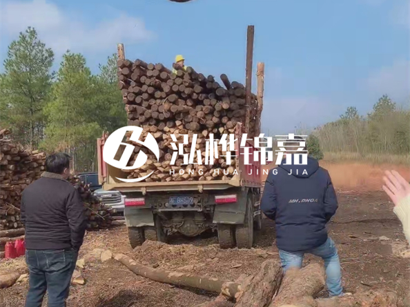 松木樁價(jià)格是按米算還是按根算？6米松木樁批發(fā)價(jià)每根多少錢？