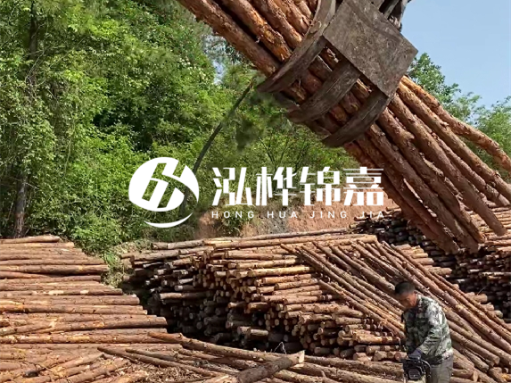 哪里能買到優(yōu)質(zhì) 3 米松木樁？長(zhǎng)沙有松木樁批發(fā)工廠嗎？