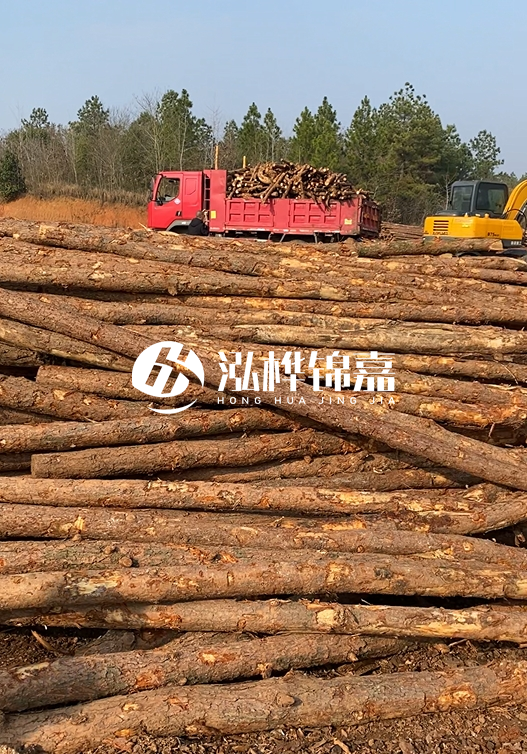 8米小頭11-13CM的松木樁價格是多少？打樁施工怎么算？