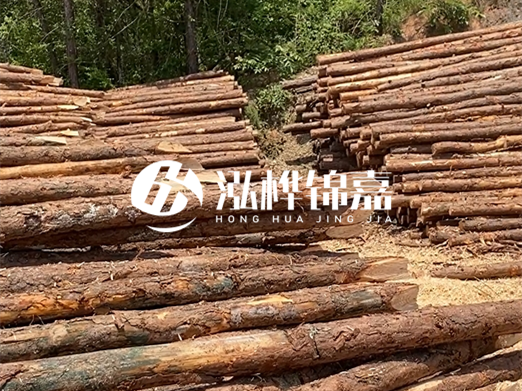松木樁的運(yùn)輸費(fèi)用是否包含卸車費(fèi)？卸貨時(shí)需要注意哪些安全問題？