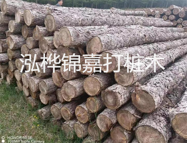 高效修補(bǔ)，保駕護(hù)航！水泥路面高強(qiáng)度修補(bǔ)料為您解決煩惱！