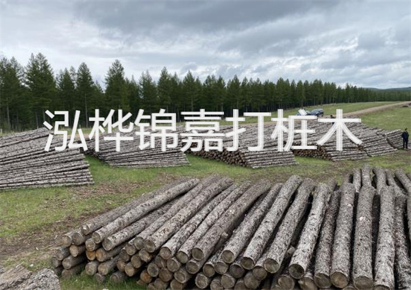 浙江河道松木樁施工-打造安全穩(wěn)固的水域基礎設施