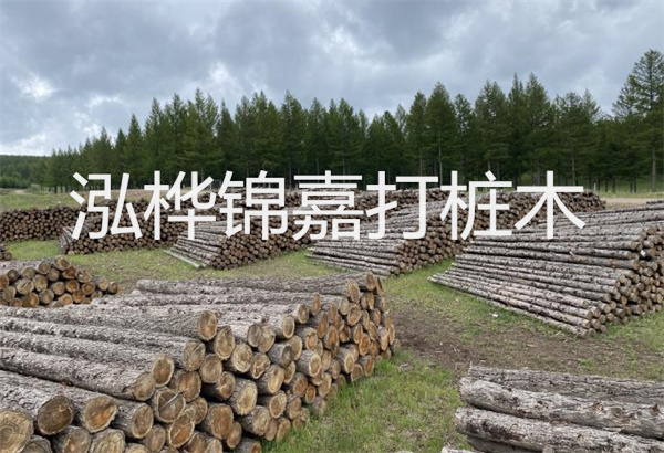 預制松木樁施工工藝：優(yōu)質材料，高效快速，堅固耐用