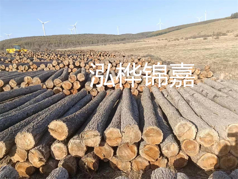 選擇6m松木樁施工，穩(wěn)固地打造您的工程基礎