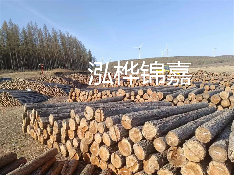 用路基松木樁施工方案提升工程質量描述：了解路基松木樁施工方案的重要性，提高工程質量關鍵詞：路基松木樁，施工方案，工程質量