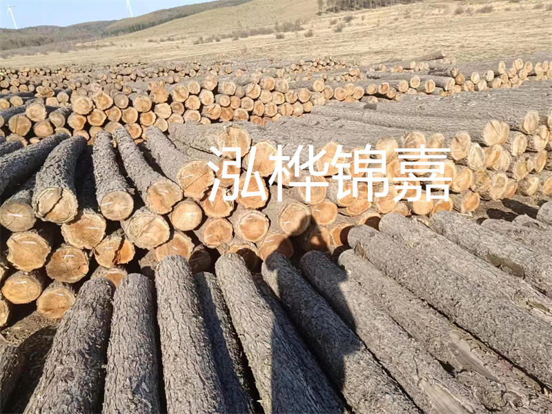 鹽城松木樁河道圍堰施工，保護生態(tài)環(huán)境，打造美麗城市