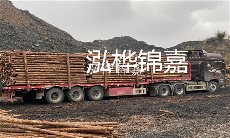 云南哪里有松木樁？實(shí)用指南，助您選購優(yōu)質(zhì)木材！